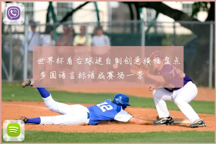 世界杯看台球迷自制创意横幅盘点 多国语言标语成赛场一景