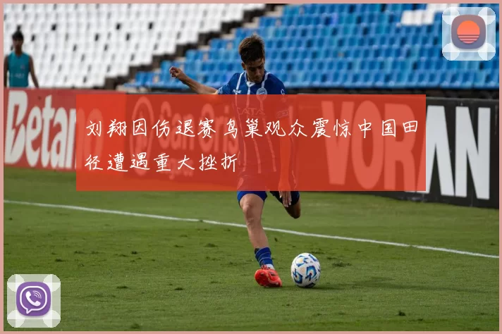 刘翔因伤退赛鸟巢观众震惊中国田径遭遇重大挫折