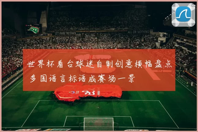 世界杯看台球迷自制创意横幅盘点 多国语言标语成赛场一景