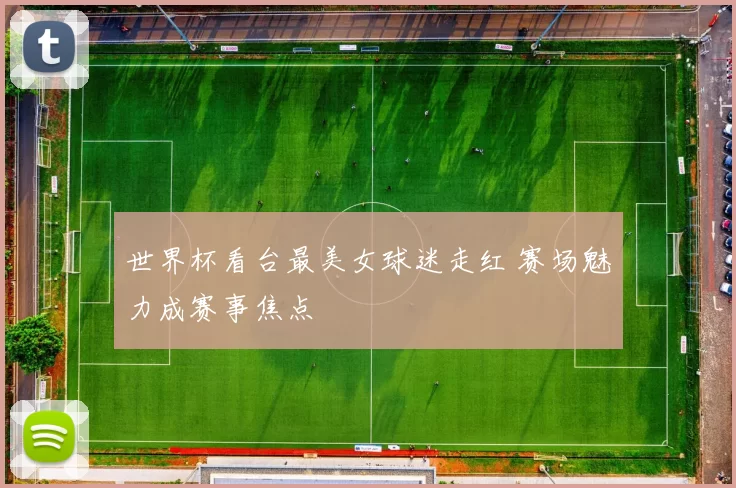 世界杯看台最美女球迷走红 赛场魅力成赛事焦点